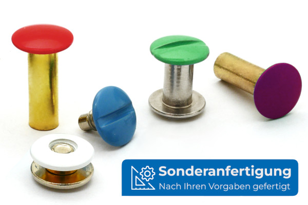 Busschroeven, gekleurd volgens RAL poedergecoat